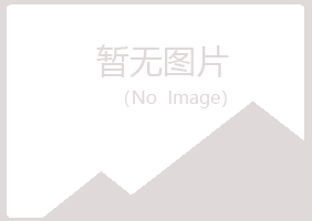 宝山区傲晴服务有限公司